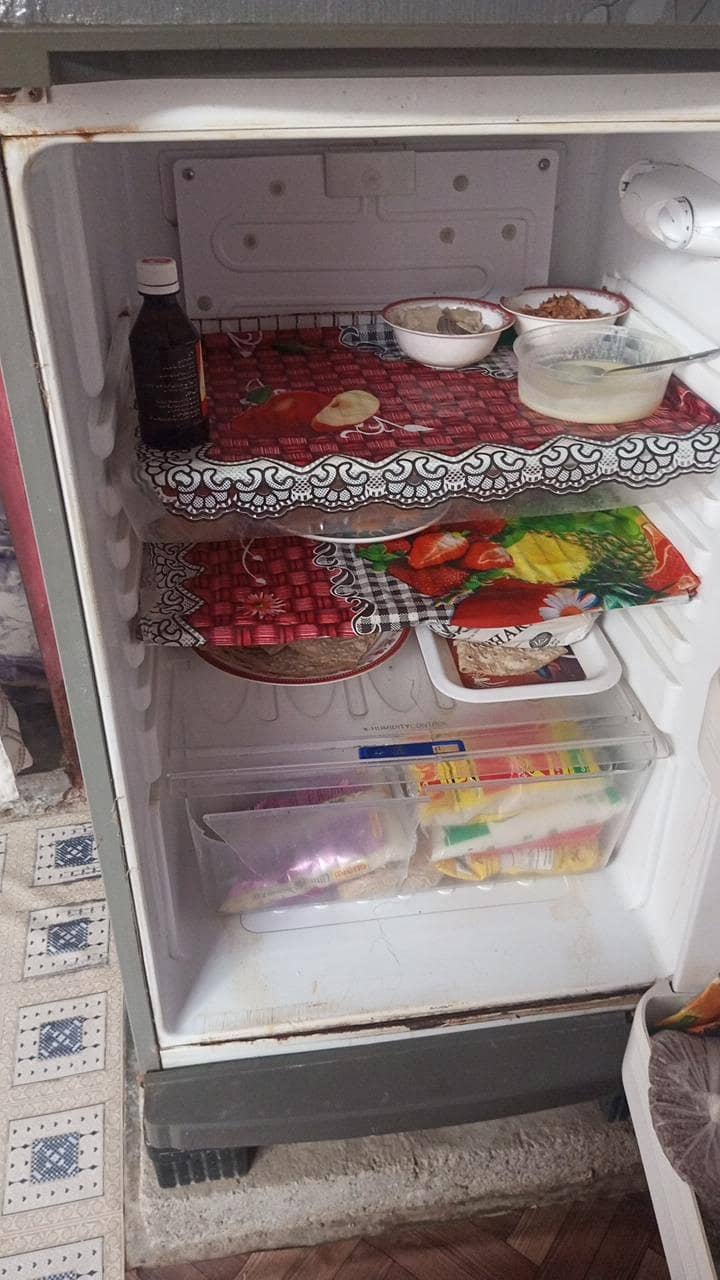 orient fridge 2