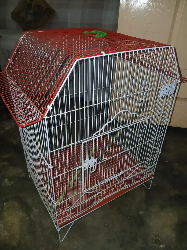 New Condition pinjara 03006923540