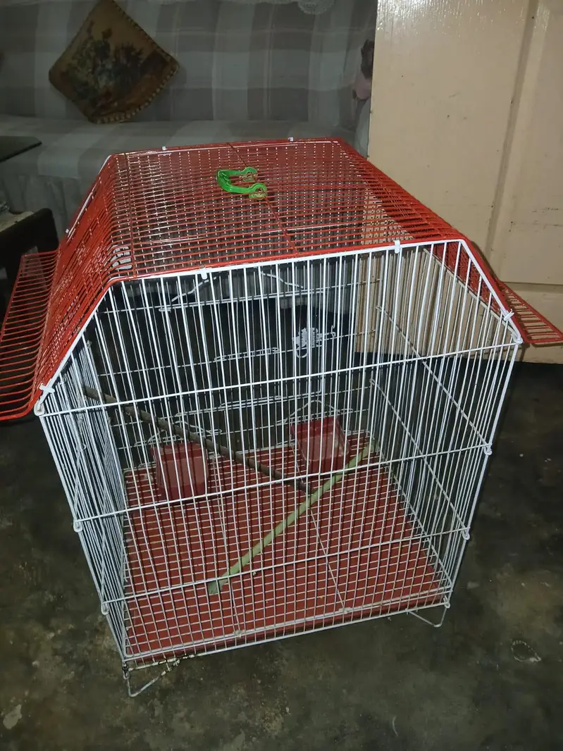 New Condition pinjara 03006923540 — photo 2