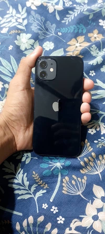 Apple iPhone 12