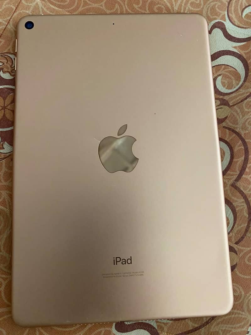ipad mini 5 1