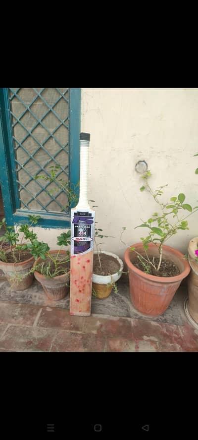 Hard Ball bat English Willow