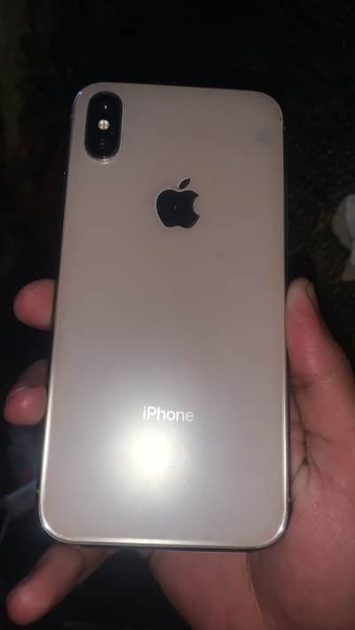 Apple iPhone X