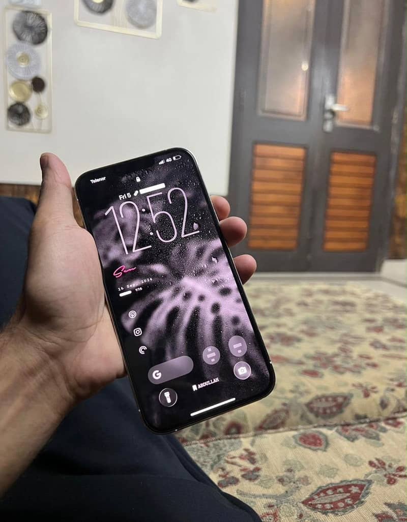 Apple iPhone 13 Pro Max 1
