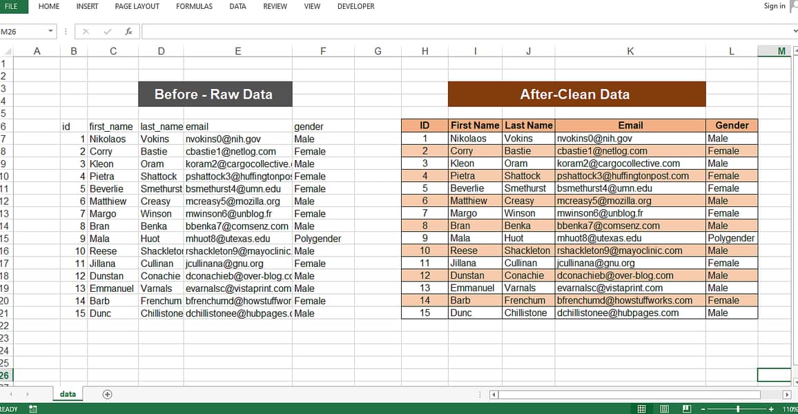 Data Entry+Ms expert 2