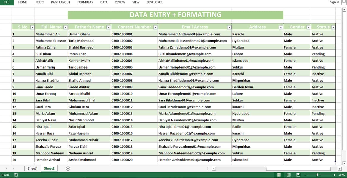 Data Entry+Ms expert 3