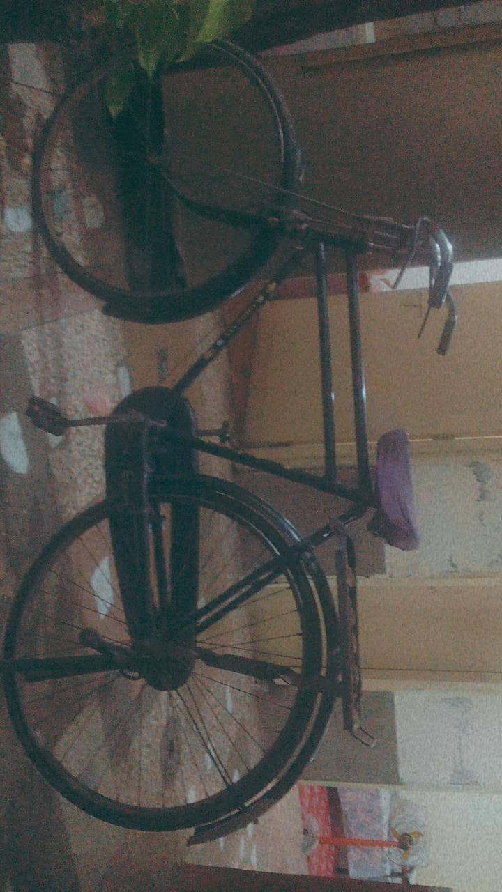 Bicycle  0