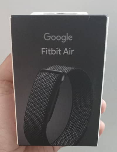 Google Fitbit Air
