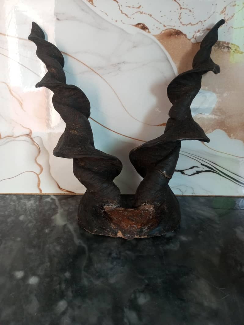 Horns 0