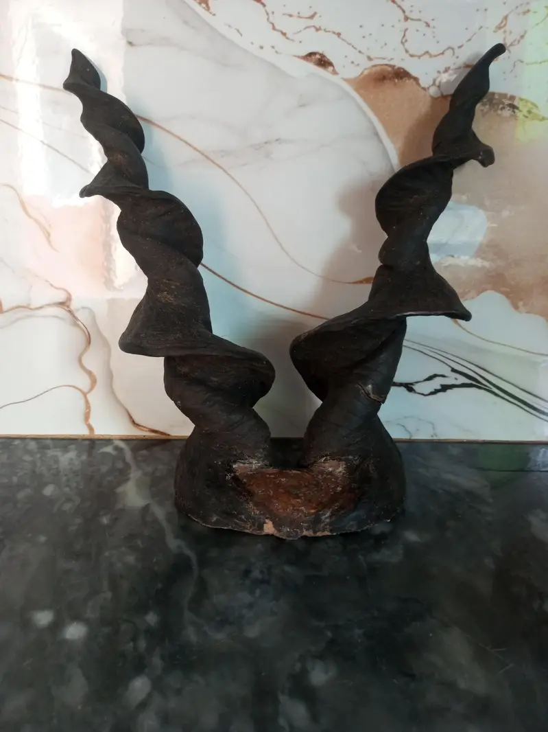Horns