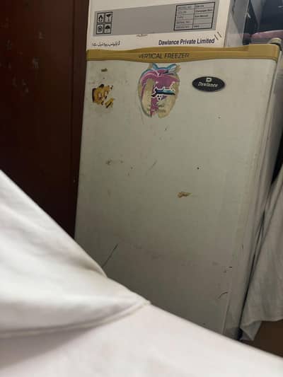 Vertical Freezer