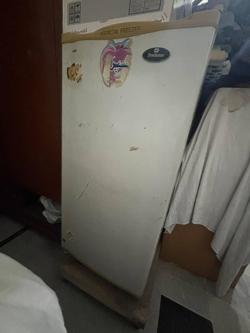 Vertical Freezer 1