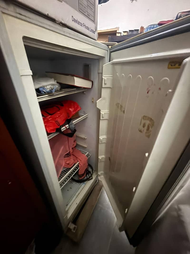 Vertical Freezer 2