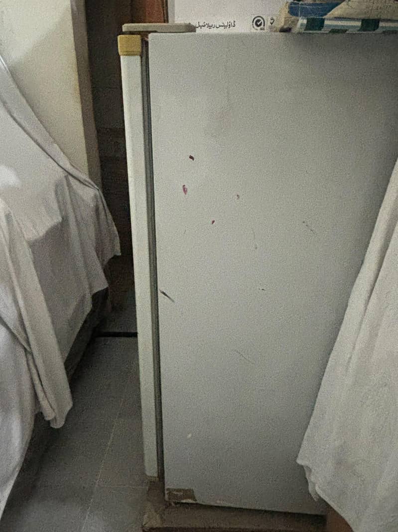 Vertical Freezer 3