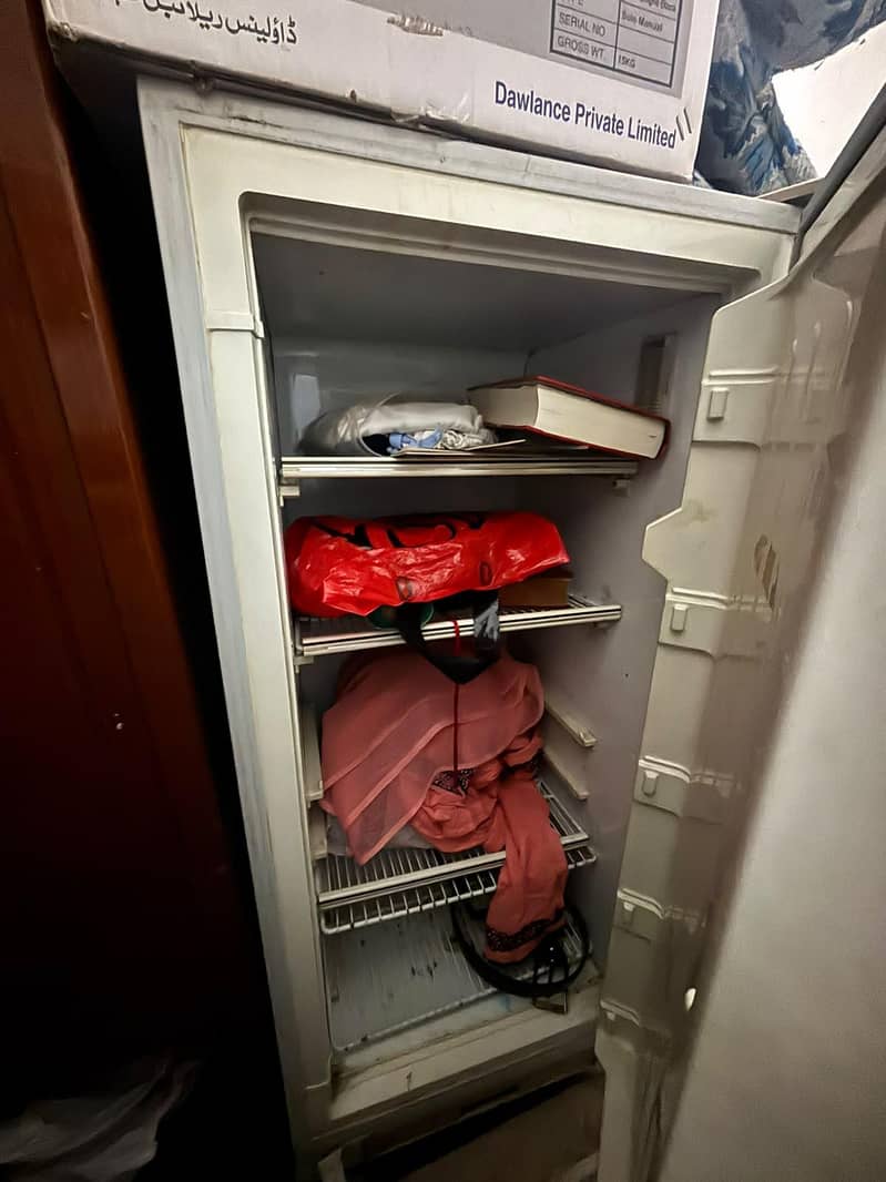 Vertical Freezer 4