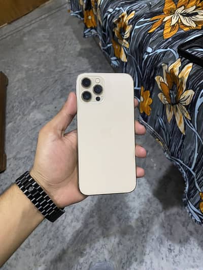 Apple iPhone 12 Pro Max
