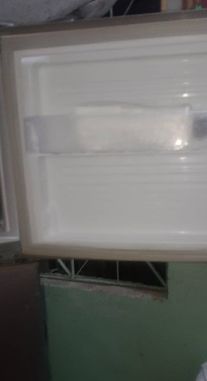 fridge 1