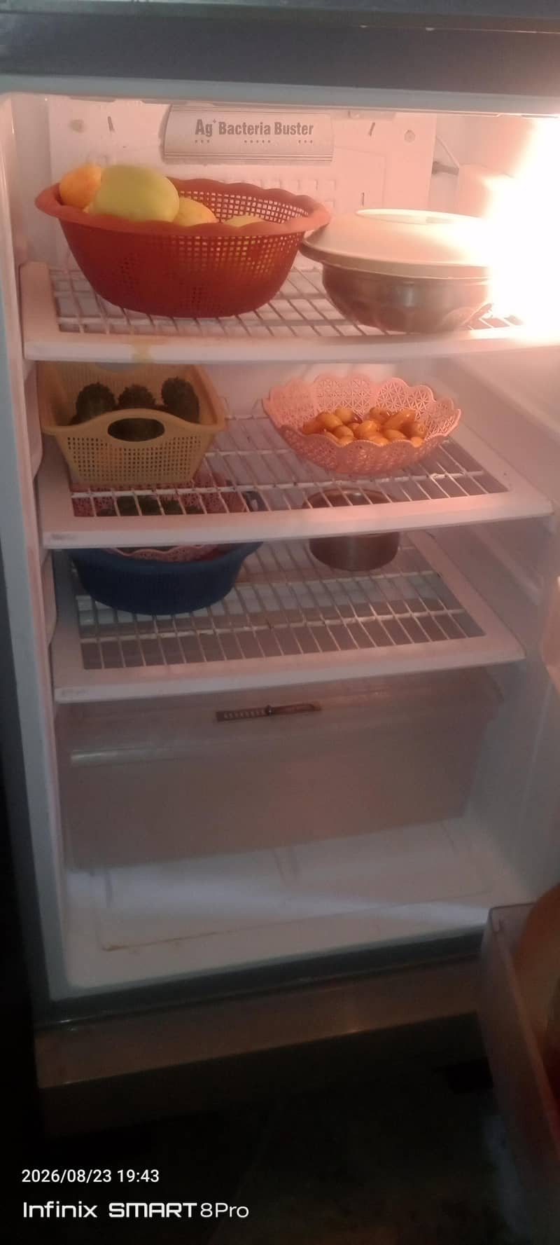 fridge 2