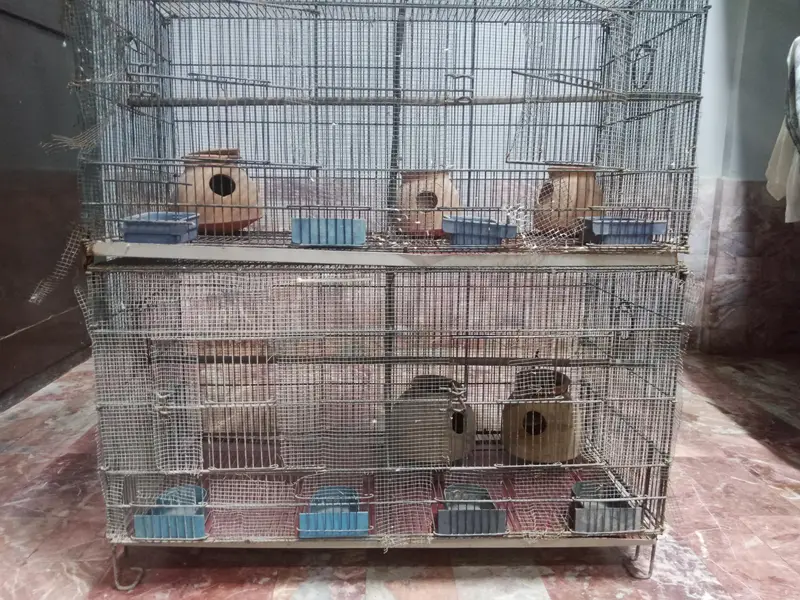 4 large portion cage for birds