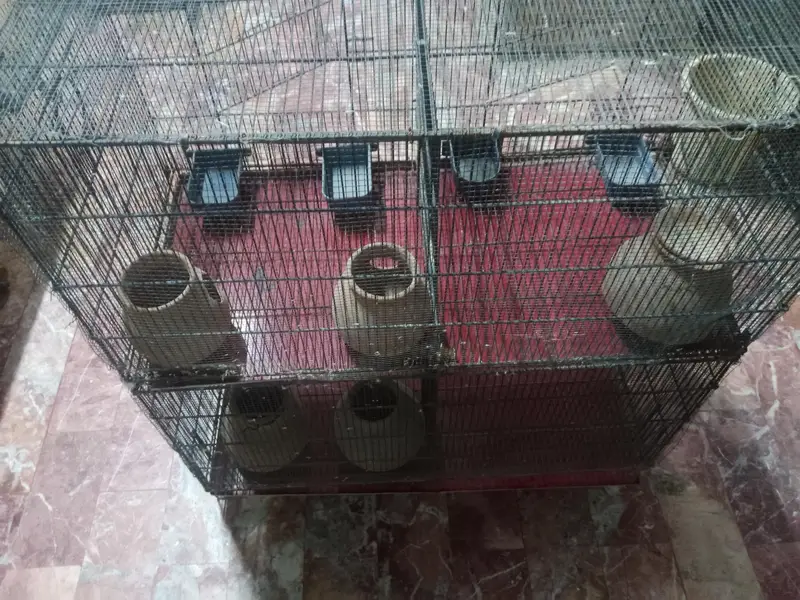 4 large portion cage for birds — photo 2