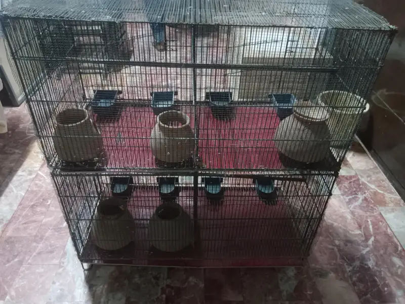 4 large portion cage for birds — photo 3
