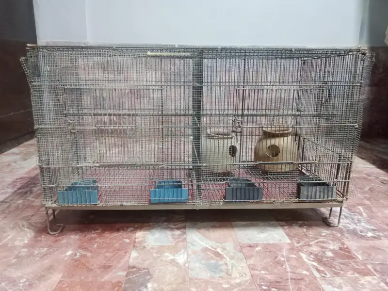 4 large portion cage for birds — photo 4