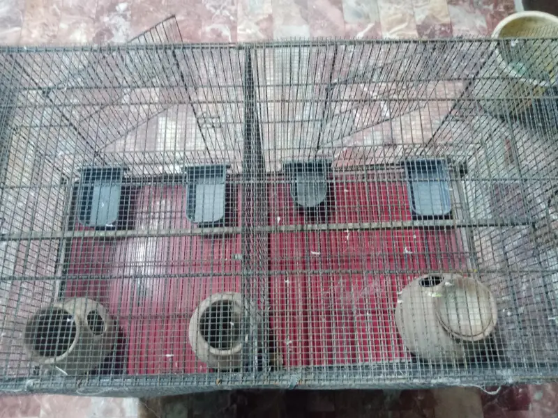 4 large portion cage for birds — photo 6