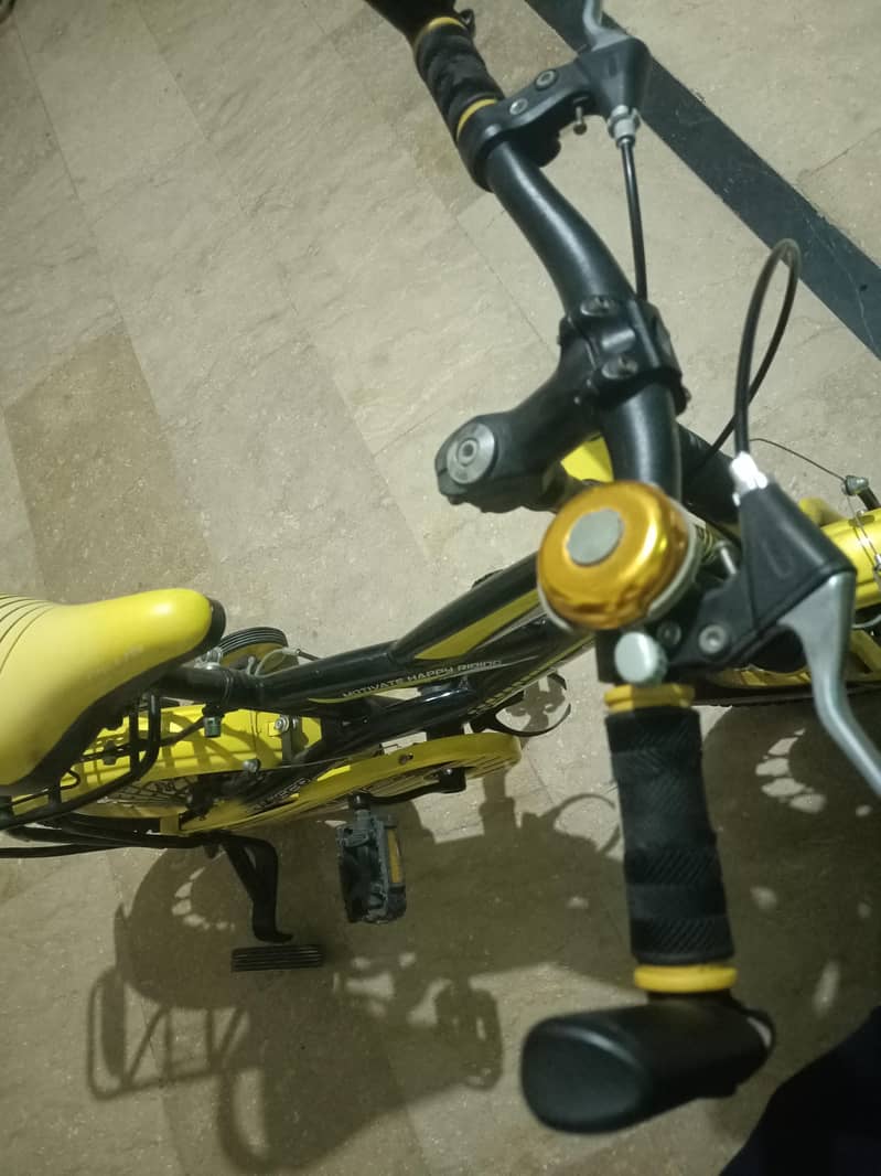 bicycle 6