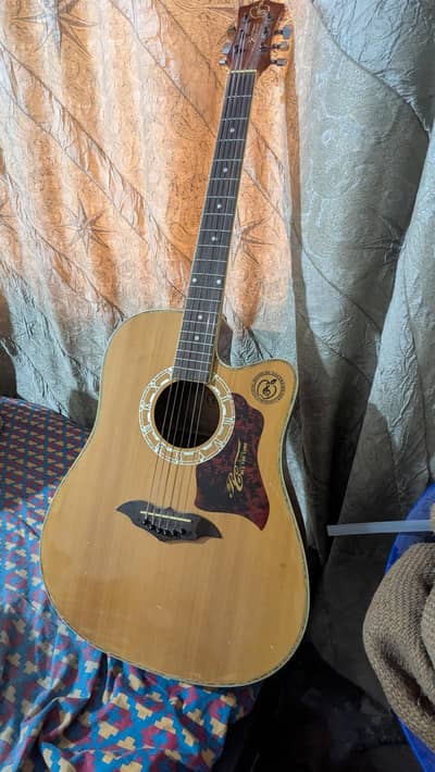 Semi Acoustic Guitar