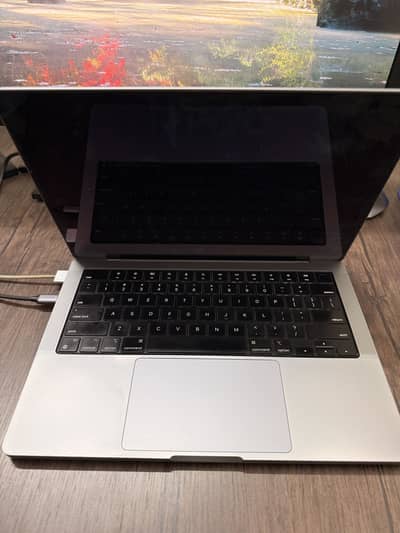 Macbook pro m1 pro 14 inch display panel issue