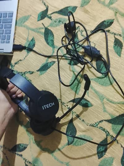 Imported Headphones With Mike