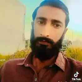 Arshad majeed 