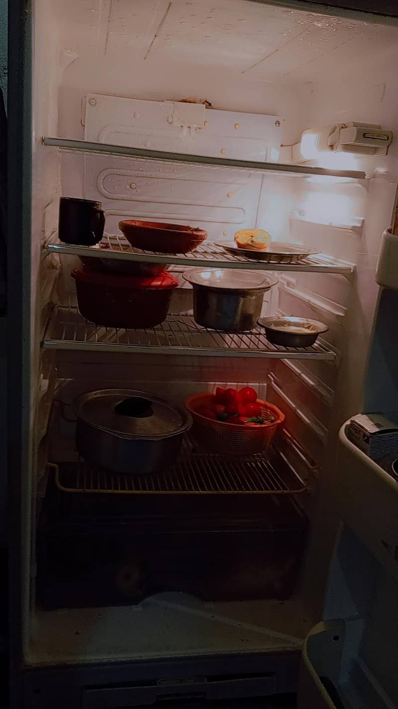 fridge 0