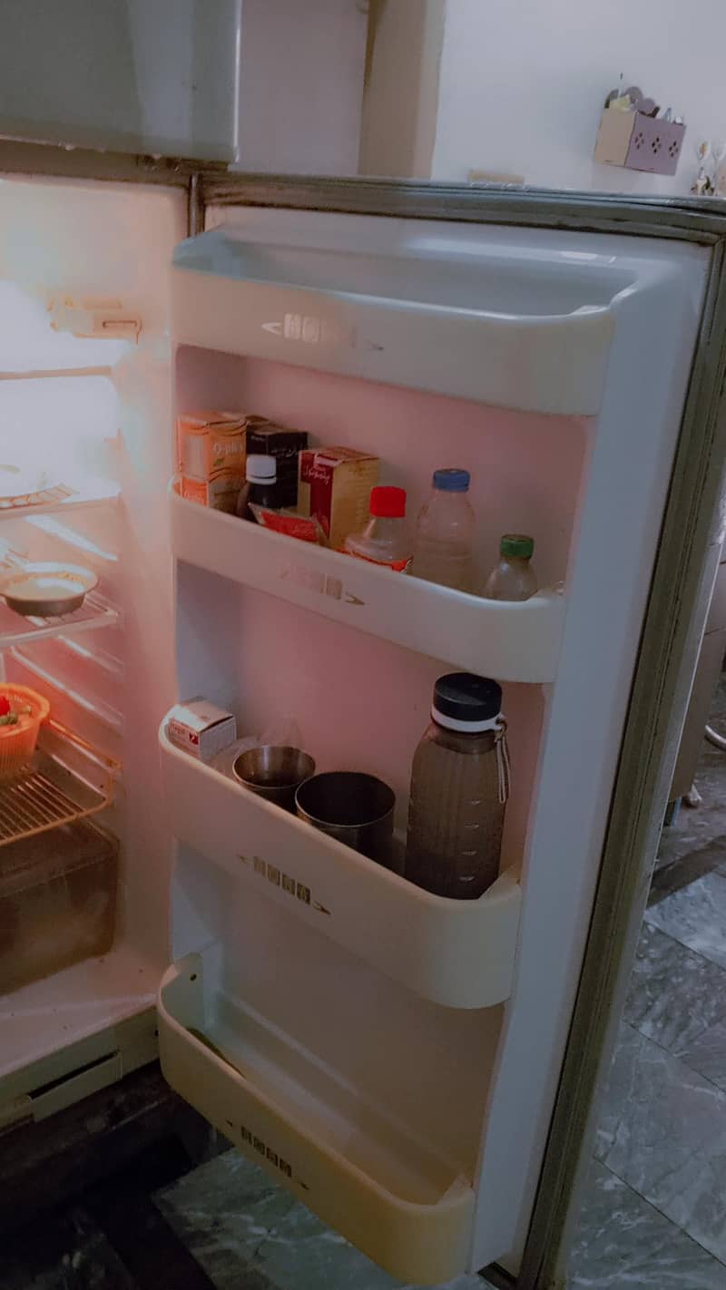 fridge 1