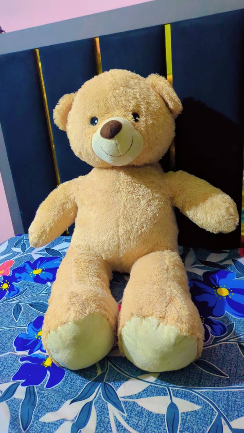 Teddy Bear 0