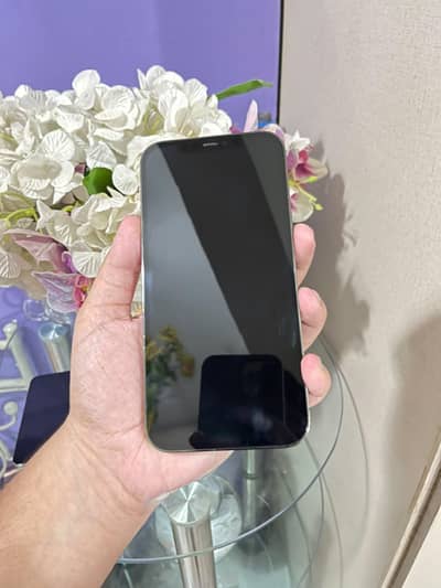 Apple iPhone 12 Pro Max