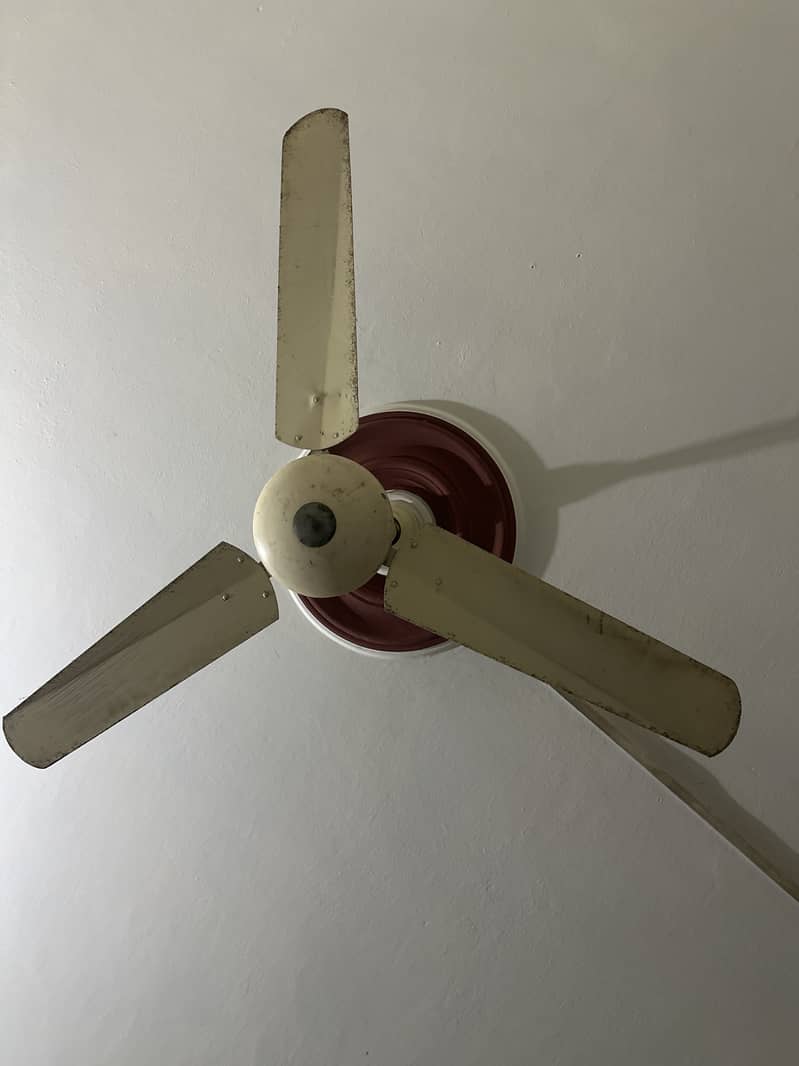 39350 5