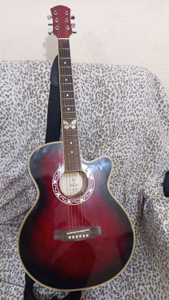 capoke eccostic guitar 0