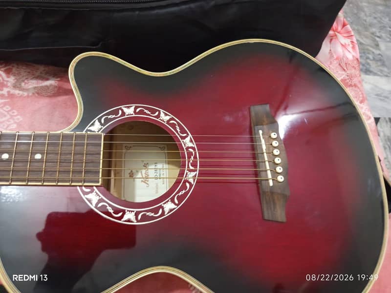 capoke eccostic guitar 2