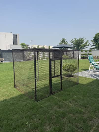 Hen Cage