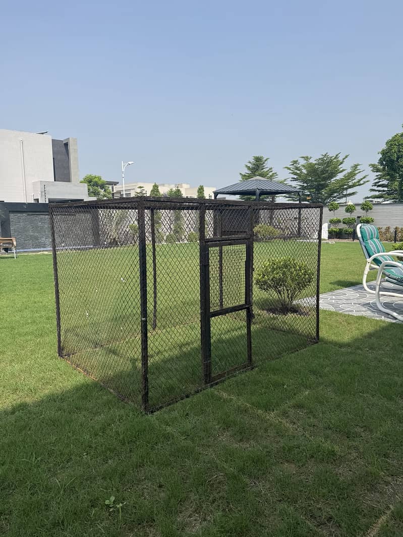 Hen Cage 0