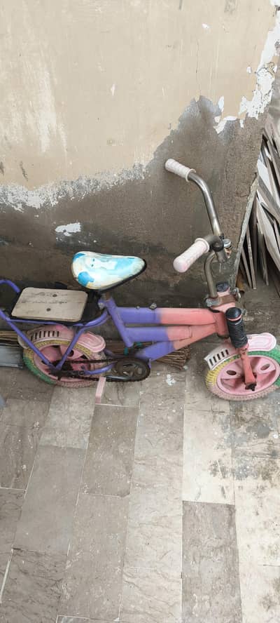 Girls Bicycle for Sale