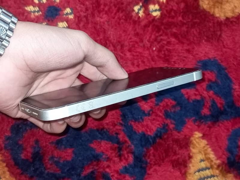 Apple iPhone 12 1