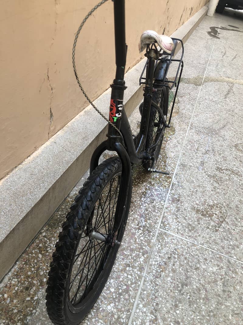 Morgan cycle 1