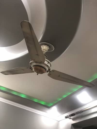 Pure copper Fan