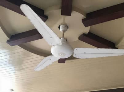 Pure copper Fan