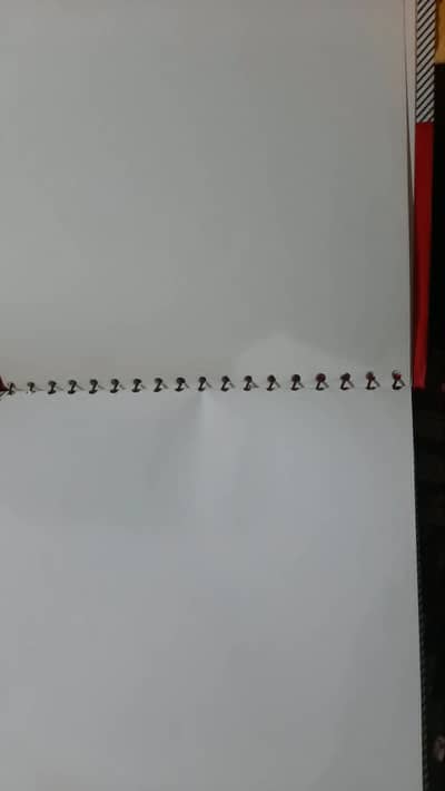 Rizvi Sketchbook for sale
