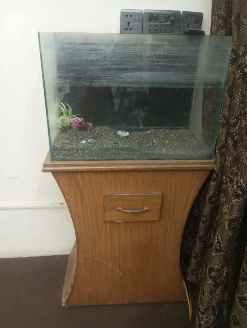 aquarium — photo 2