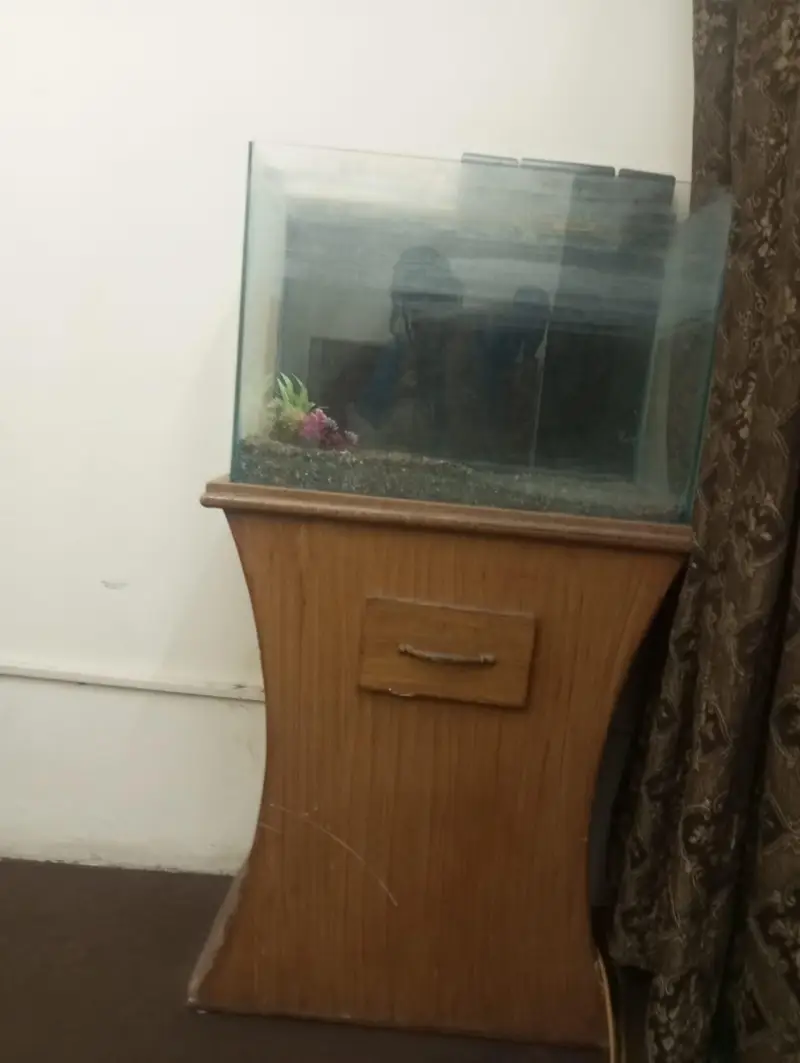 aquarium — photo 3