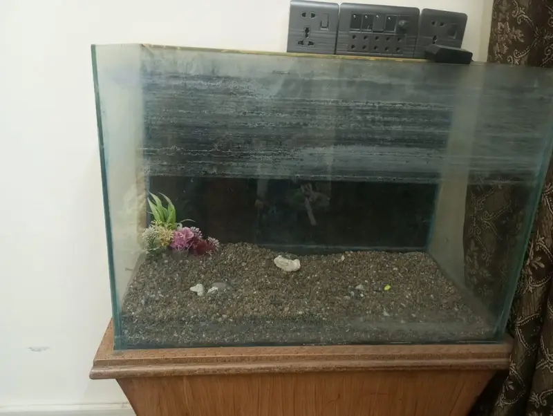 aquarium — photo 4